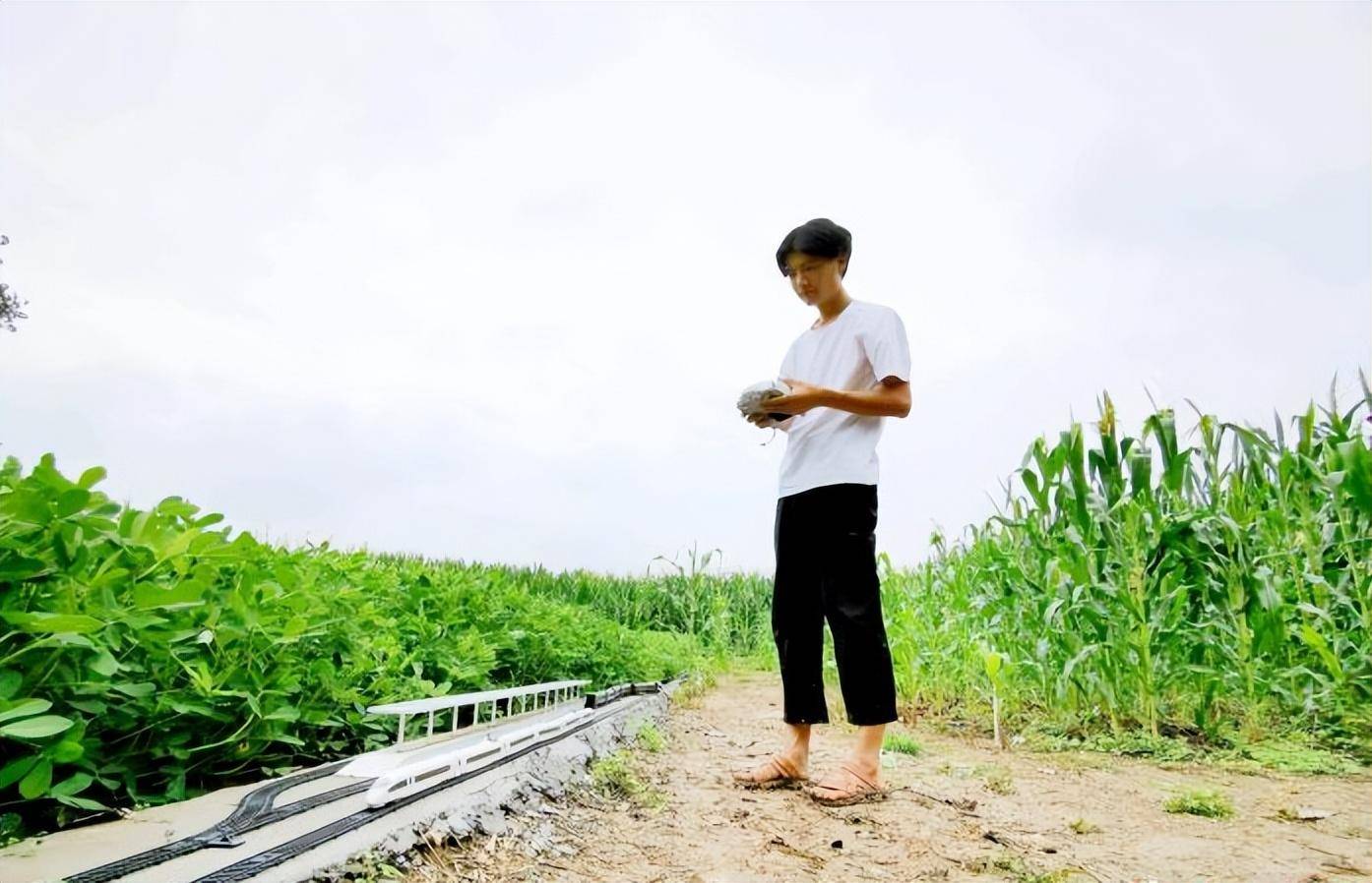 地建高铁穿隧道还能变轨网友:农村基建狂魔j9九游会真人游戏第一河南21岁小伙在菜(图12) 地建高铁穿隧道还能变轨网友:农村基建狂魔j9九游会真人游戏第一河南21岁小伙在菜(图12)