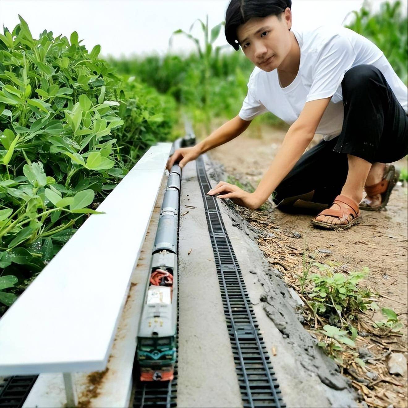 地建高铁穿隧道还能变轨网友:农村基建狂魔j9九游会真人游戏第一河南21岁小伙在菜(图13) 地建高铁穿隧道还能变轨网友:农村基建狂魔j9九游会真人游戏第一河南21岁小伙在菜(图13)